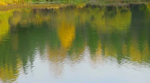 Autumn lake Stock Footage 12461405