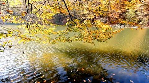 Autumn on the Lake Stock Footage 56576847