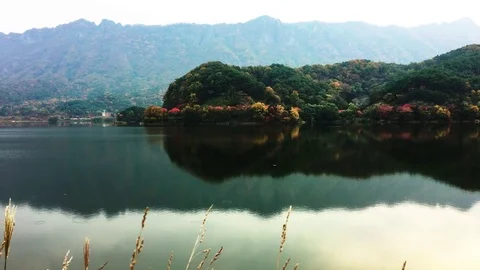 Autumn lake: 스톡 동영상 80150514