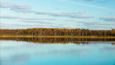 Autumn lake. Stock Footage 84291430
