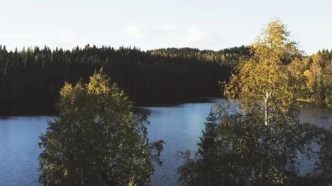 Autumn by the lake Vídeo Stock 95709649