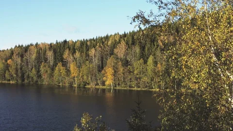 Autumn by the lake Vídeo Stock 95710112