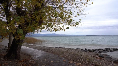 Autumn on the Lake 库存影片 120137482