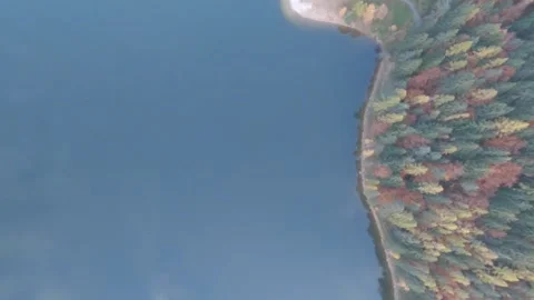 Autumn Lake Video stock 146125836