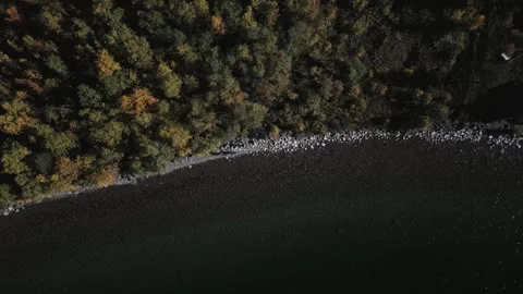 Autumn lake Video stock 243496180
