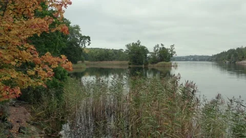 Autumn by lake in low angle drone shot. Early fall season shift theme 動画素材 140426911