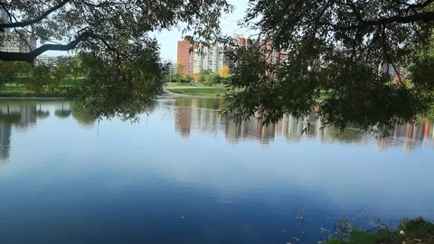 Autumn lake in the park. Stock Footage 140424497