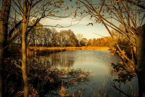 Autumn at the lake Stock Photos