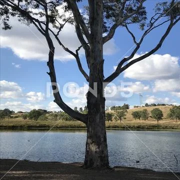 Autumn at lake Stock Photos
