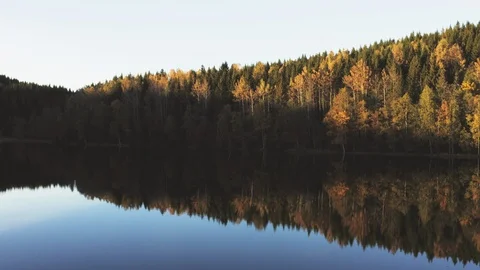 The Autumn Lake of Reflection Vídeo Stock 95709679