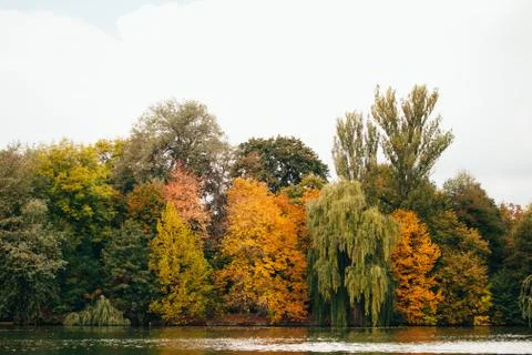 Autumn lake with reflection of trees Stock Photos