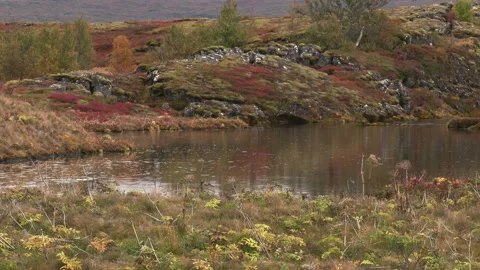 Autumn lake setting Stock Footage 345938185