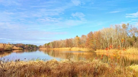 Autumn Lake Timelapse with Clouds Passing Stock Footage 313558123