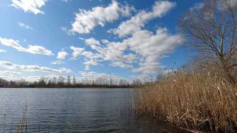 Autumn lake timelapse with moving clouds and dry reed grass Stock-Footage 126509219