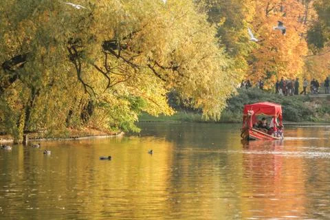 Autumn, lake, trees Foto stock