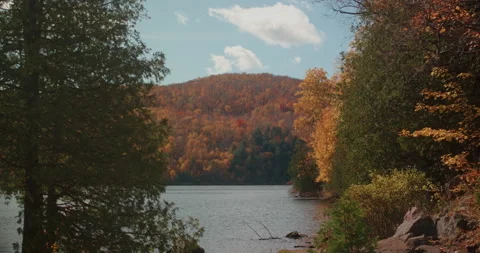 Autumn Lake View Stock Footage 142170794