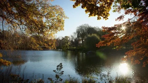 Autumn lake with waves timelapse Stock Footage 80510094
