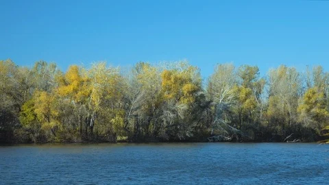 Autumn landscape 2 Stock Footage 119580423