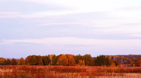 Autumn landscape 4k Stock Footage 42492525