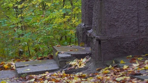 Autumn landscape 4K Stock Footage 81319843
