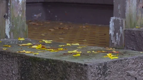 Autumn landscape 4K Stock Footage 81320151