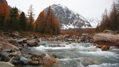 Autumn landscape of Aktru gorge and river in Altai mountains, Siberia, Russia. Stock Footage