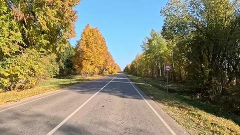 Autumn landscape and view of the road in motion. Driving a car on the road. Stock Footage 289660917