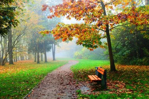 Autumn landscape background. Stock Photos
