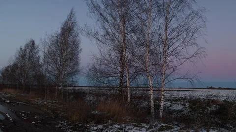 Autumn landscape with bare trees and first snow at dusk Video stock 292648965
