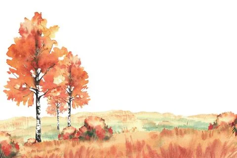 Autumn landscape with birch trees in fall coloured field. Watercolor Forest with Ilustración de archivo