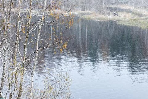 Autumn landscape with birch trees on the river coast Stock Photos