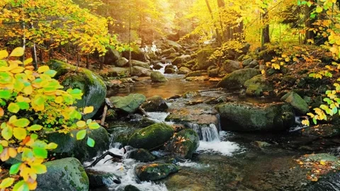 Autumn landscape of cascades of a mountain forest stream, stock video 4k Stock Footage 249878053