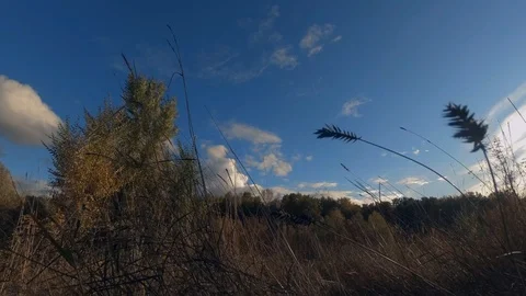 Autumn landscape with clouds Stock Footage 97535182
