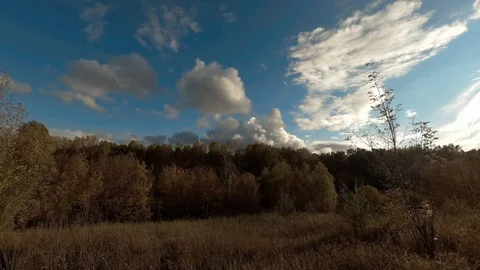 Autumn landscape with clouds Stock Footage 97535266
