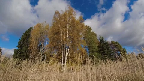 Autumn landscape with clouds motion, time lapse 스톡 동영상 289405241