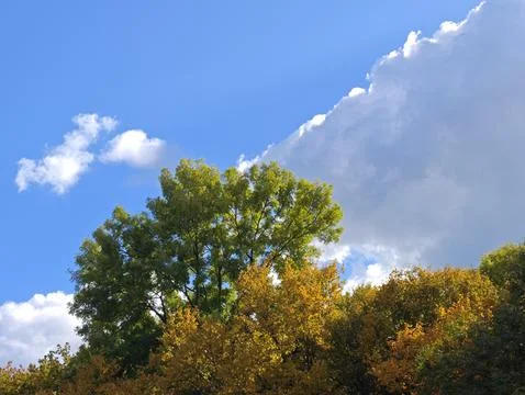 Autumn landscape with clouds Stock Photos