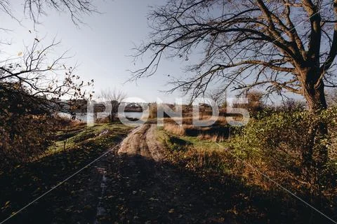 Autumn landscape in early sunny morning Stock Photos