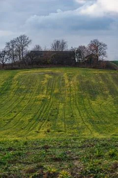 Autumn landscape with empty fields and plants planted as catch crops Stock Photos