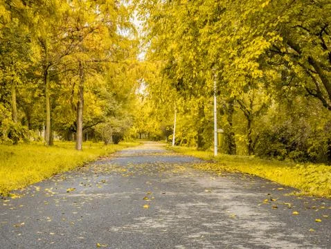 Autumn landscape in an empty park in Bucharest, Romania. Stock-Fotos