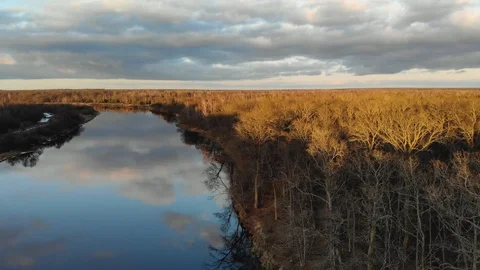 Autumn landscape. Epic leafless trees near the river Видео 129428554