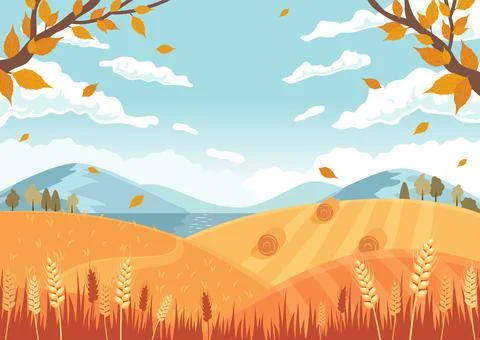 Autumn landscape. Fields with crops, wheat golden ripe spikelets, round hay Illustrazione stock