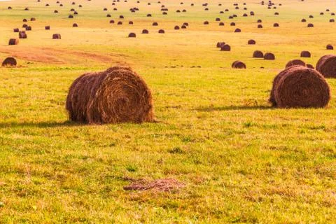 Autumn landscape fields swaths Stock Photos
