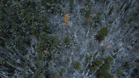 Autumn landscape flight over the National Park  Stockbeeldmateriaal 218097053