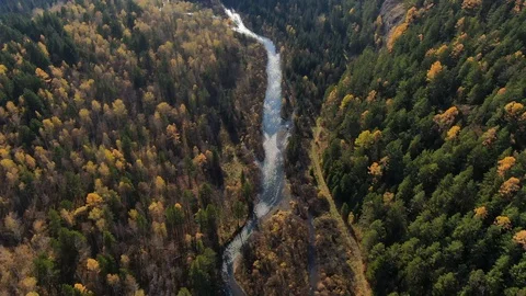 Autumn landscape, flight over river Stock Footage 118511409