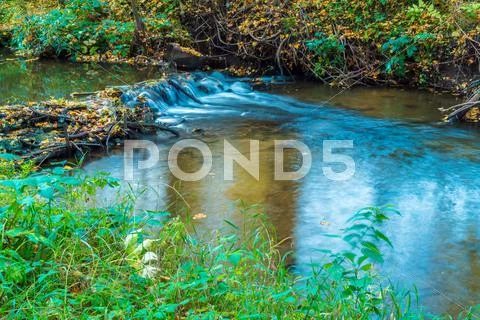 Autumn landscape with flowing river and leaves Stock Photos