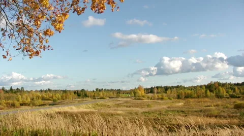 Autumn landscape 스톡 동영상 2313889