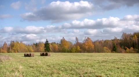 Autumn landscape  스톡 동영상 3174055