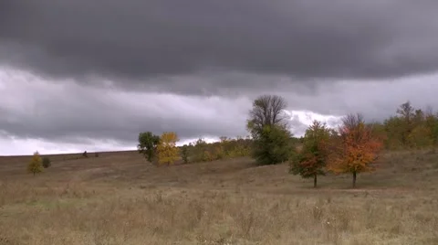 Autumn landscape Video stock 8760471