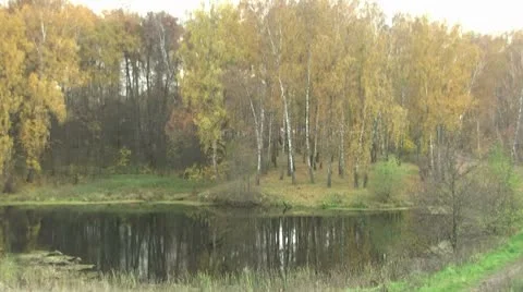 Autumn landscape Stock Footage 8911823