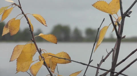 Autumn landscape Stock Footage 28570281